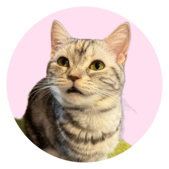 チュールちゃん